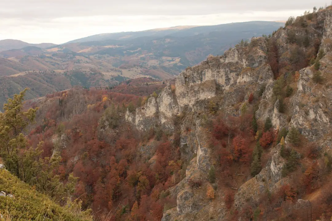Caminero pleacă rănit din meciul 4 al World Series
